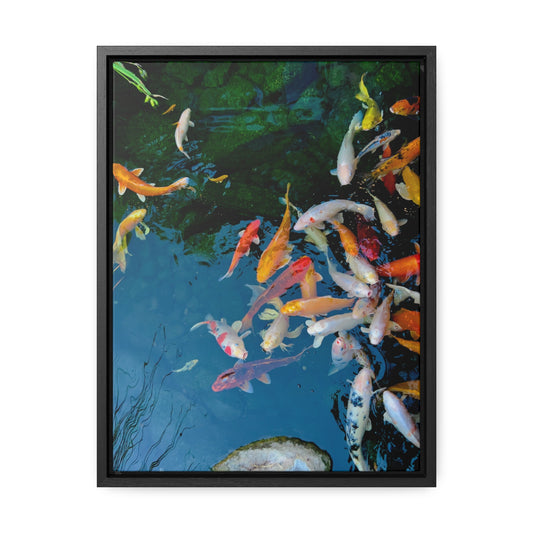 Koi - Gallery Canvas Wraps, Vertical Frame